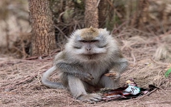 mount rinjani trekking package, rinjani trekking package, rinjani trekking packages, mt rinjani trekking package, rinjani